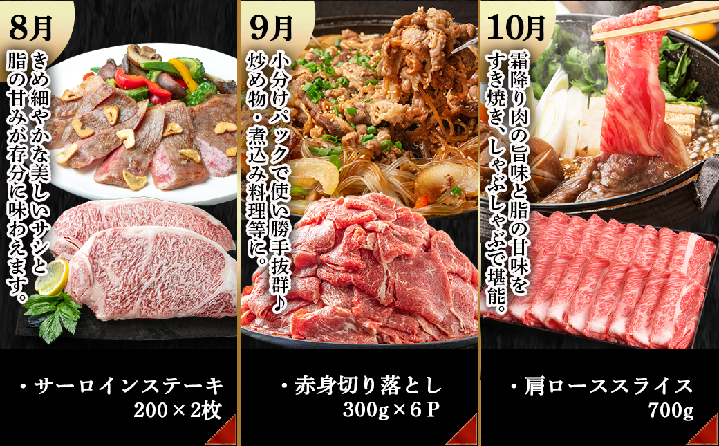 宮崎牛定期便(10回お届け) Cコース_TAC10-2501