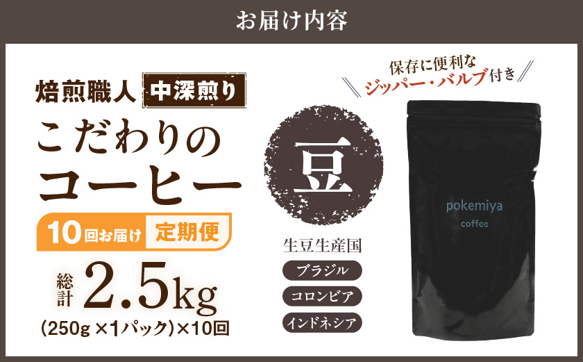 10回お届け!焙煎職人こだわりのコーヒー定期便【豆】250g 小分けパック(ジッパー・バルブ付) ※中深煎り※ポスト投函_TLA10-3302