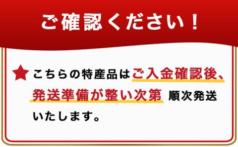 【ブルー】「バックハグ枕 Sサイズ」抱き枕・U字枕～抱かれる安心感 ～_12-J203-bl