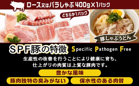 ≪12回連続お届け≫「宮崎SPF豚」日替わりバラエティセット定期便_T192-12-K901