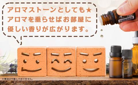 ニコニコレンガ3兄弟(1箱3個入)_LF-K301