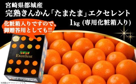 《先行受付!》 完熟きんかん「たまたま Excellent」1kg (化粧箱入)_AC-0113