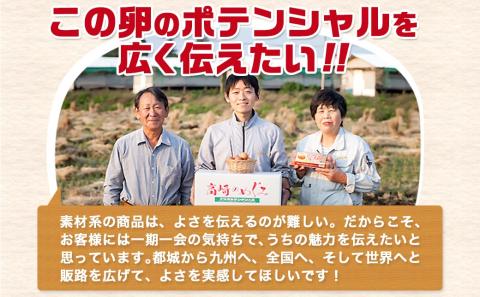 アスタキサンチン入り赤卵「高崎のめぐみ」120個_MJ-6802