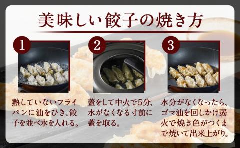 旨味が溢れ出す☆手づくり餃子(肉・海老)80個入り_AA-5403