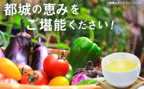 都城茶と都城産季節の野菜セット_AA-3701