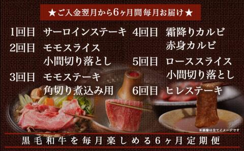 黒毛和牛を知り尽くす!食べ尽くし6ヶ月定期便_TAI6-4201