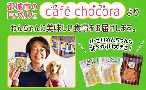 手づくり☆わんご飯「ご褒美セット」_AA-J501