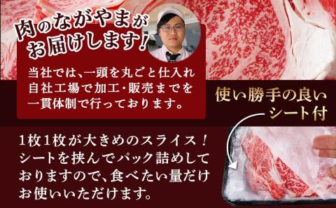 宮崎牛リブローススライス500g_AO-2501