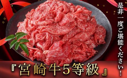 宮崎牛(A5)赤身切り落とし 2.5kg_DI-0102_【肉 牛肉 切り落とし 焼き肉 焼肉 スライス すき焼き しゃぶしゃぶ 人気 おすすめ 国産】