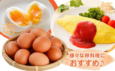 星空が綺麗な町より～「めぐみのたまご」(LまたはMサイズ)10kg_16-6801