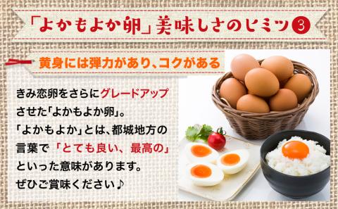よかもよか卵85個の定期便(4ヶ月)_T60-4-2901