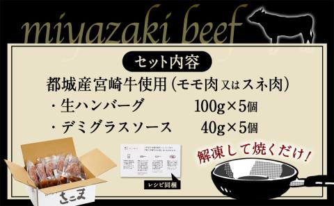 宮崎牛100％使用の生ハンバーグ≪100g×5個≫_AO-7702