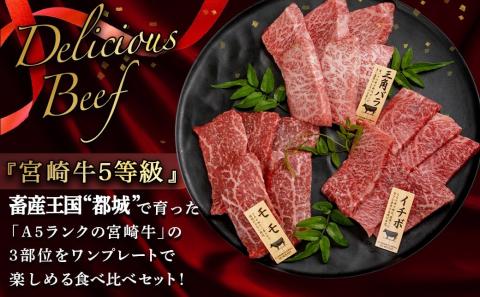 【A5】宮崎牛焼肉3種食べ比べセット【三角バラ・イチボ・モモ】_AC-0110_【肉 牛肉 焼き肉 焼肉 人気 おすすめ 国産 宮崎県産】