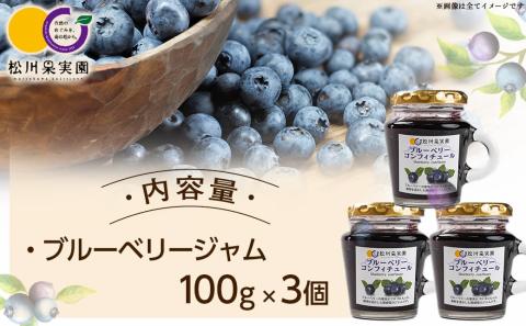 松川果実園のブルーベリージャムセット_AA-J708