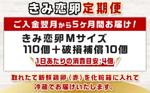 「きみ恋卵」110個定期便(5ヶ月)_T40（5）-2901