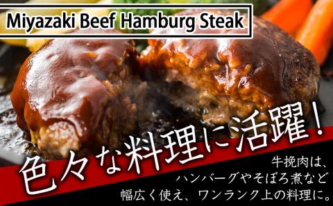 宮崎牛の挽肉1kg (500g×2パック)_18-7701