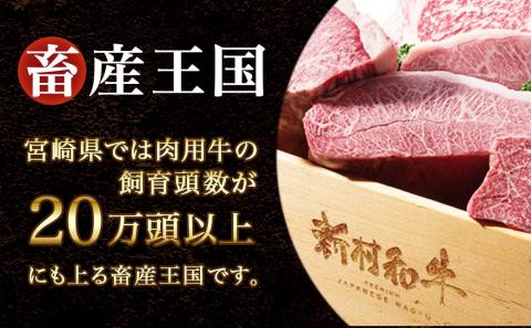 都城産宮崎牛サーロインステーキ400g&牛スジ肉1kg_28-4201