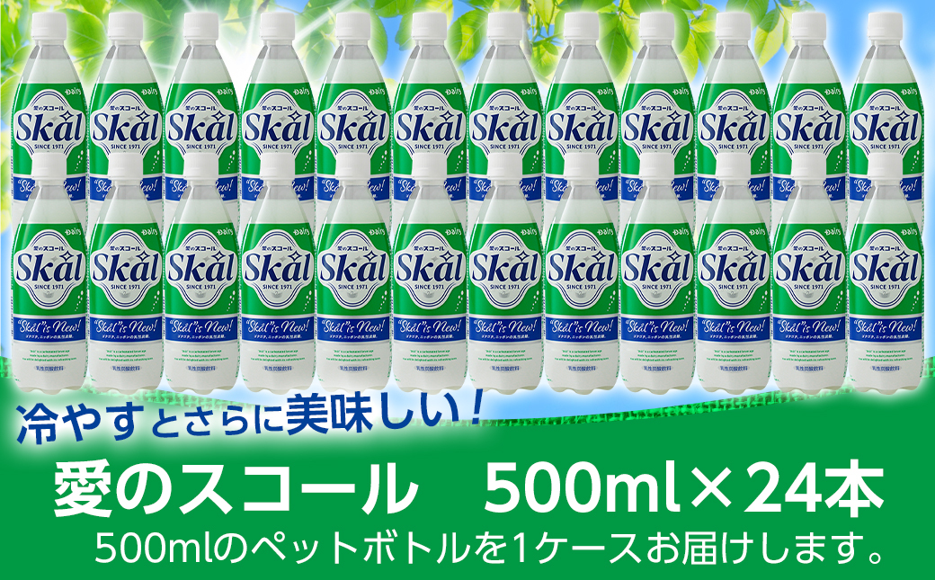 愛のスコール 500ml×24本_11-2305