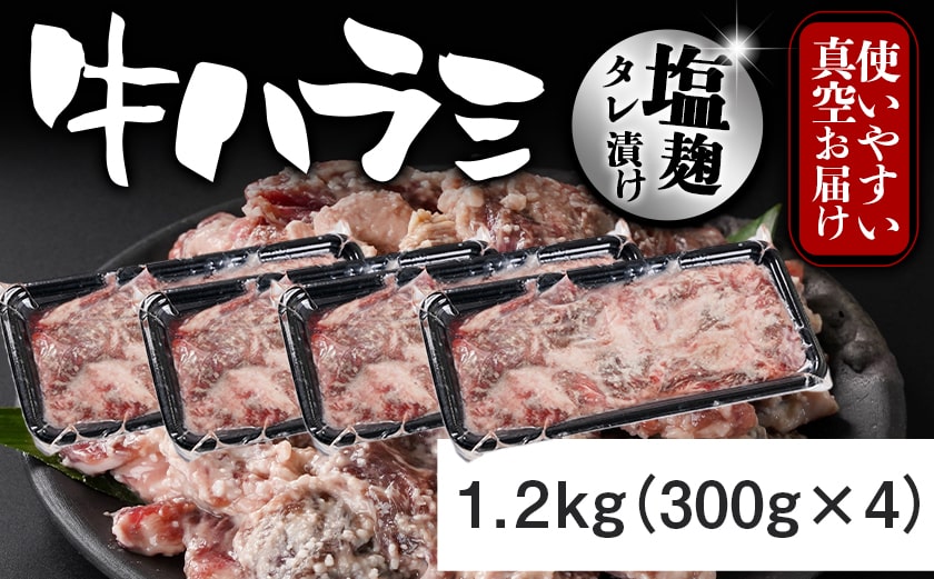 牛ハラミ 塩麹タレ漬け1.2kg≪みやこんじょ特急便≫_12-3310-Q_【肉 牛肉 焼き肉 焼肉 人気 おすすめ】