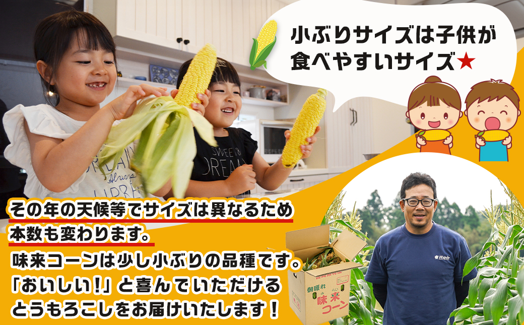 【先行受付】朝どれ!!都城産スイートコーン(味来コーン)5kg 15本以上_12-B401-6