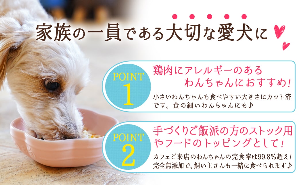 手づくり☆わんご飯『うまうまセット』_12-J501