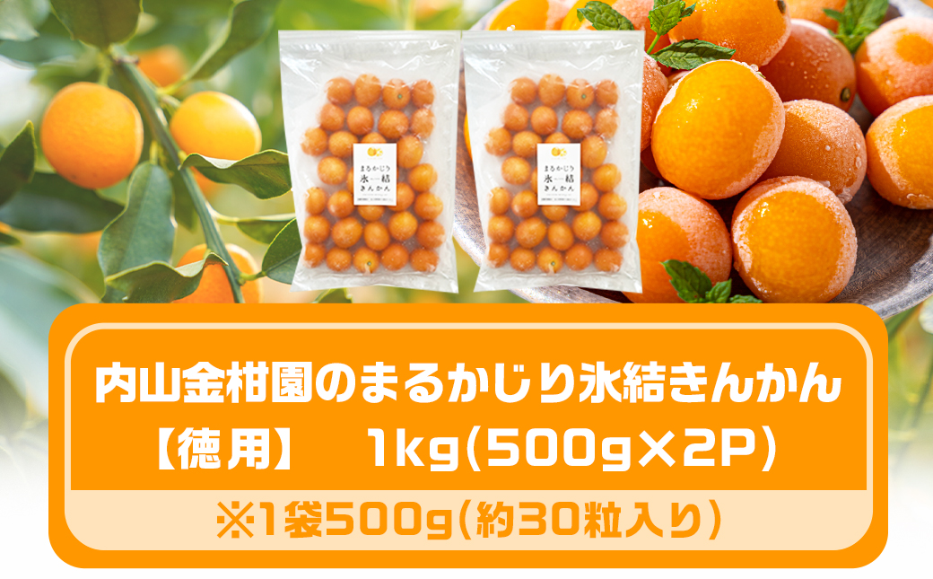 【徳用】内山金柑園のまるかじり氷結きんかん1kg(500g×2P)_12-J702