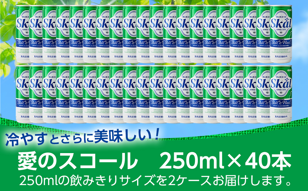 【父の日】『愛』を込めて・・・愛のスコール250ml×40本(2ケース)≪6月18日～21日お届け≫_13-2305-FG