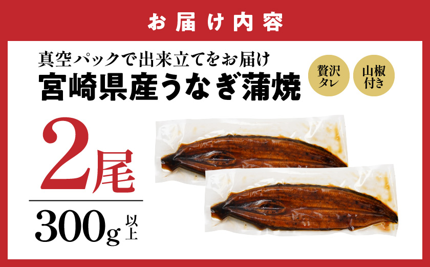 【丑の日】宮崎県育ちのうなぎ蒲焼2尾300g以上≪山椒・たれ付≫≪7月20日～25日お届け≫_13-M301-UG