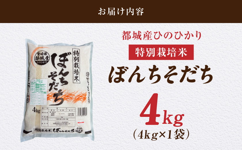都城産ひのひかり特別栽培米「ぼんちそだち」4kg_13-N501