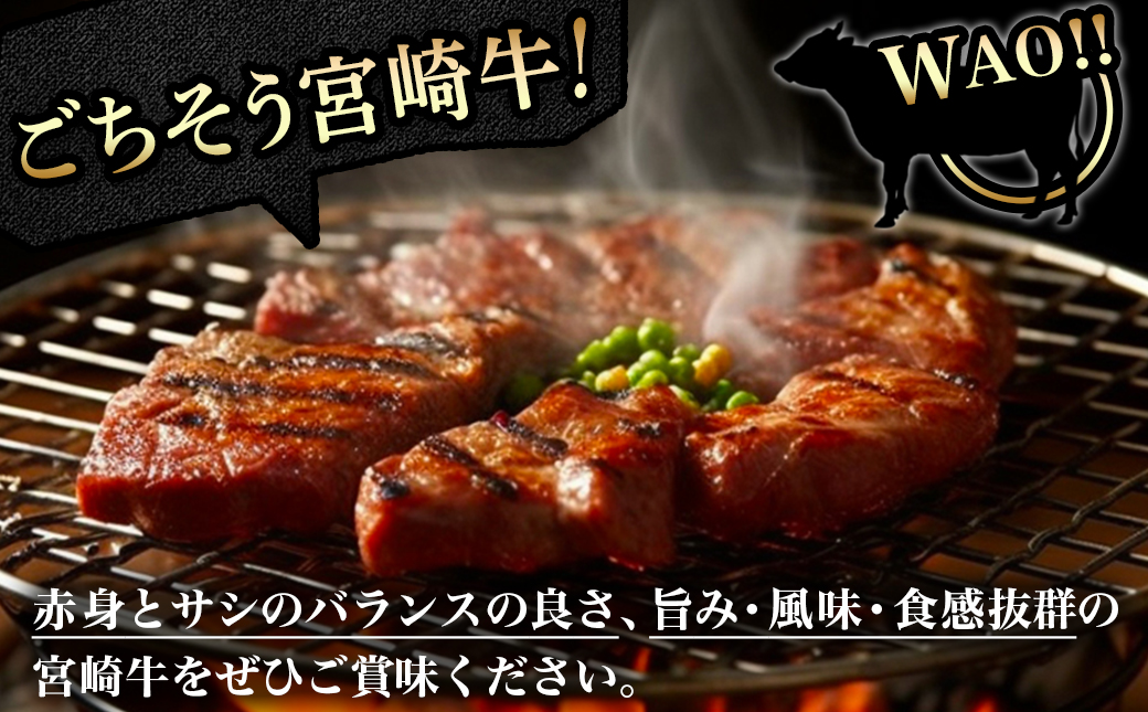 宮崎牛ミックスカルビ焼肉500g≪みやこんじょ快速便≫_14-8902-R_【肉 牛肉 焼き肉 焼肉 人気 おすすめ 国産 宮崎県産】