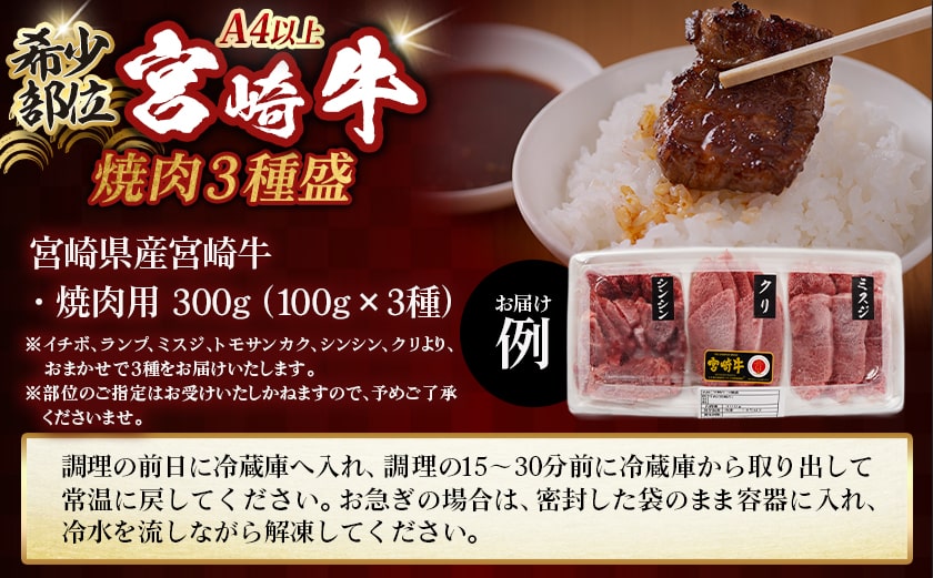 牛肉好き必見!宮崎牛希少部位の焼肉☆お楽しみ3種盛(100g×3種)_14-J702