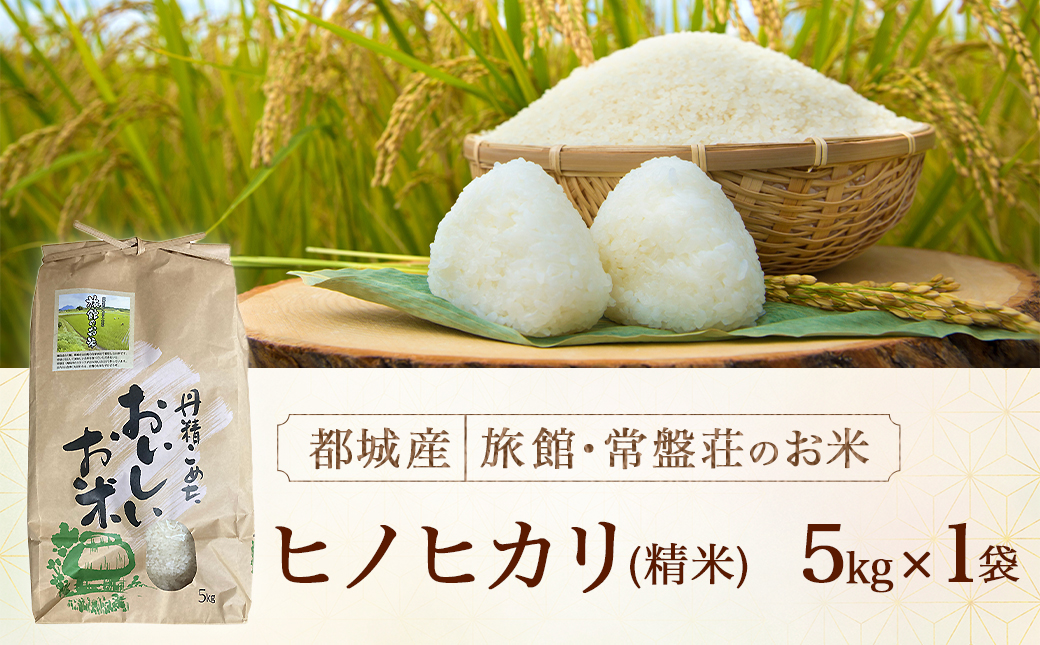 都城産ヒノヒカリ5kg【旅館・常盤荘のお米】_14-J703