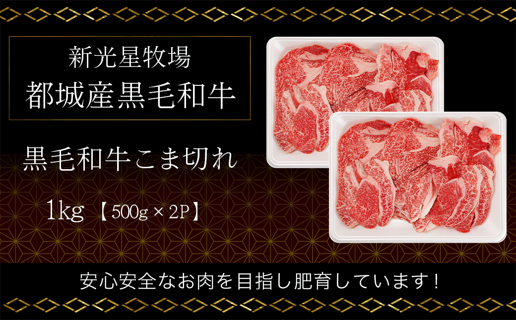 新光星牧場☆黒毛和牛こま切れ1kg_14-M901