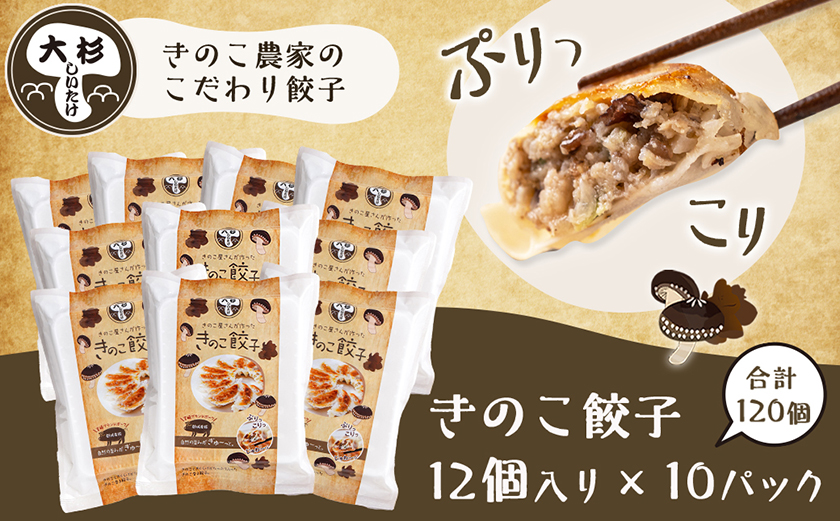 香り立つ!!「きのこ餃子」120個_16-8701