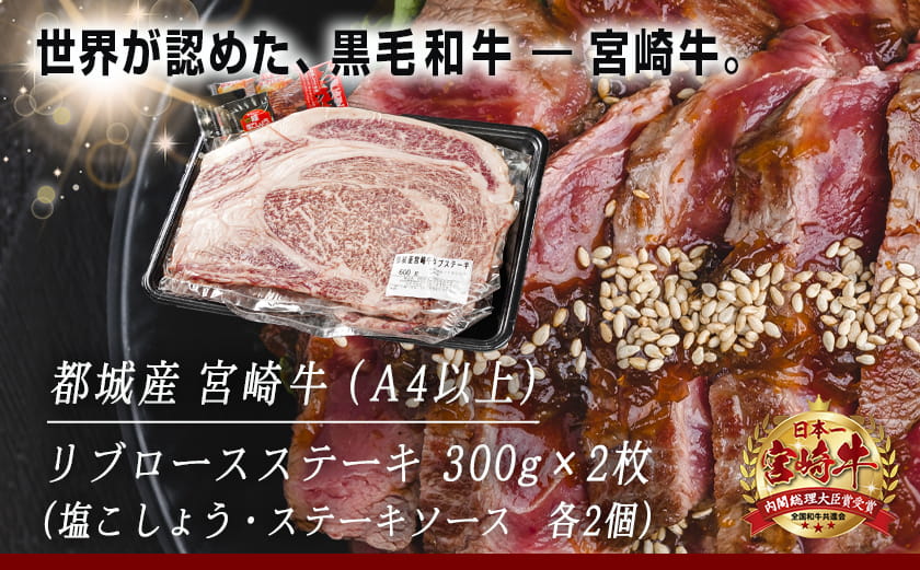 宮崎牛リブロースステーキ300g×2枚_17-2502