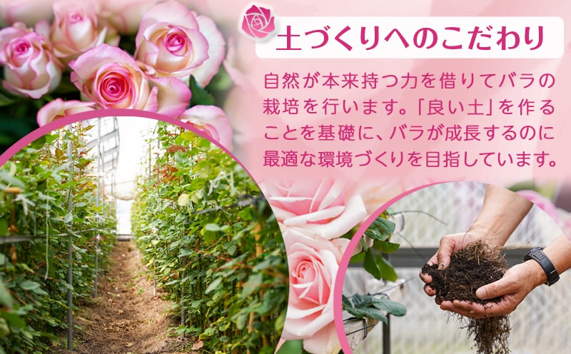 【母の日】バラのアレンジメント20本(ピンク)≪5月7日～10日お届け≫_17-3304-MG