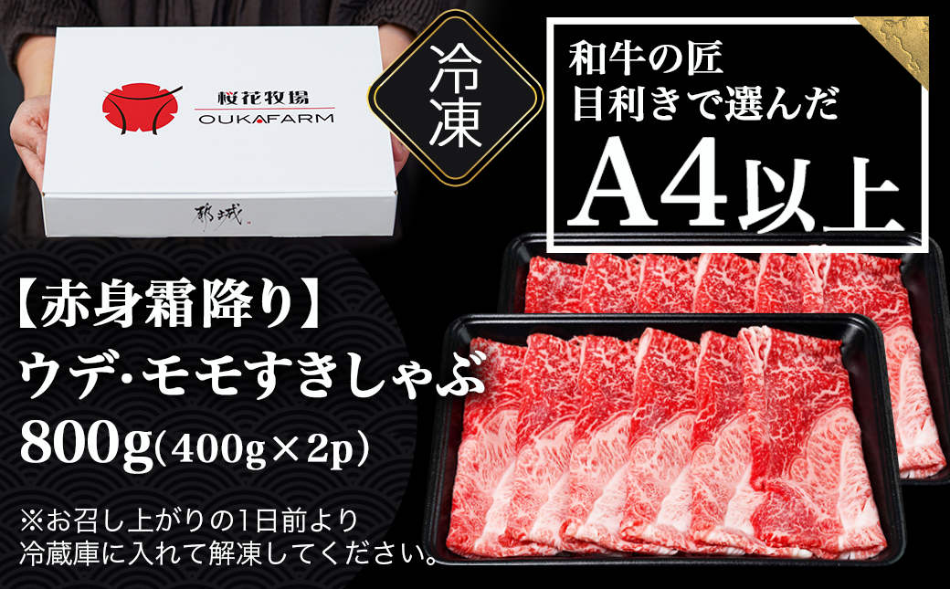 宮崎県産黒毛和牛（A4以上）【赤身霜降り】すきしゃぶ800g (400g×2P)_17-6510