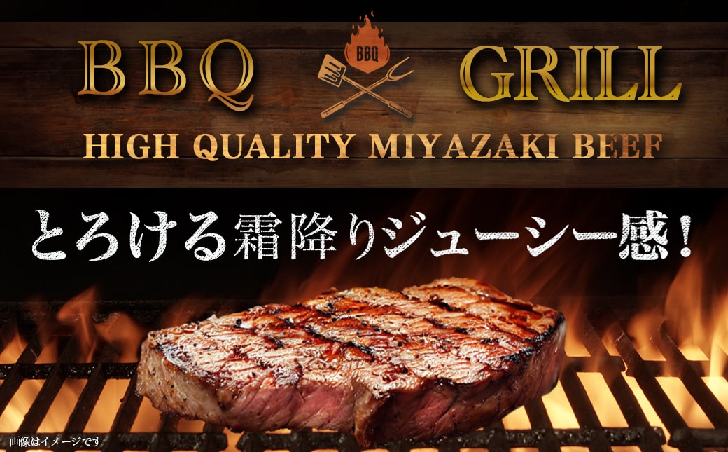 宮崎牛サーロインステーキ200g×2枚_17-8912