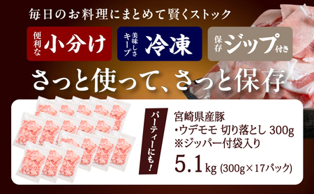 宮崎県産豚切り落とし5.1kg(ジッパー付袋入り)_18-1507