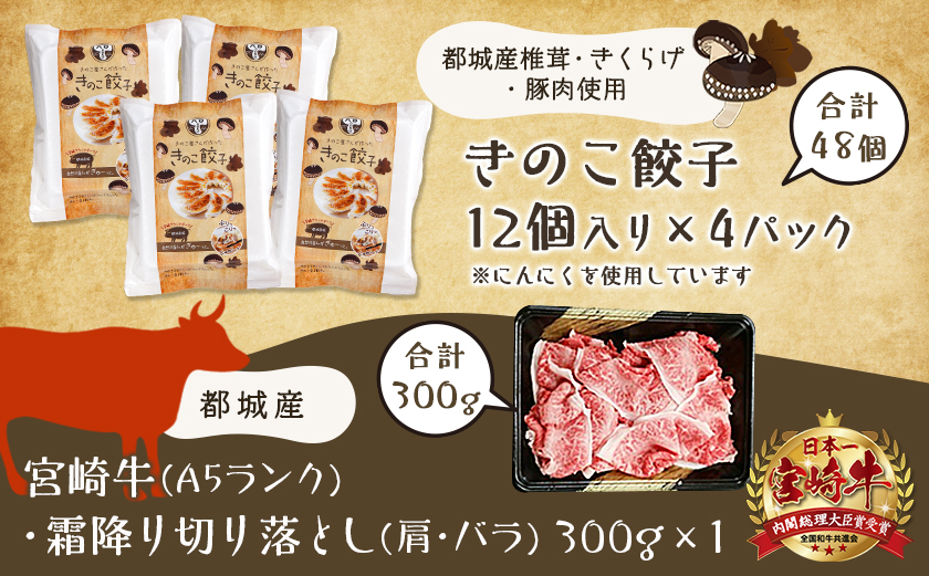 きのこ餃子48個&宮崎牛(A5)霜降り切り落し300g_18-8701