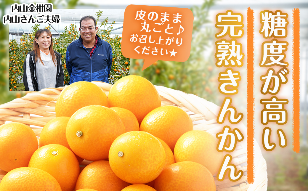 【先行受付！】【2月～3月お届け】都城産完熟きんかん 家庭用3kg (2Lサイズ)_18-B501