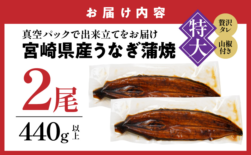 【丑の日】宮崎県育ちの【特大】うなぎ蒲焼2尾440g以上≪山椒・たれ付≫≪7月20日～25日お届け≫_18-M301-UG