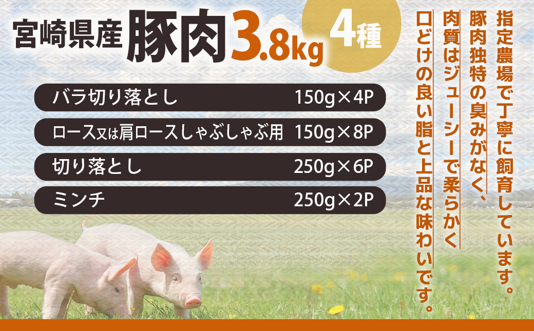 宮崎県産豚肉3.8kgセット_18-M602