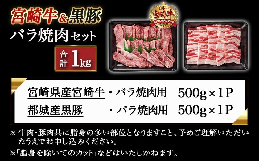 宮崎牛&黒豚バラ焼肉セット(合計1kg)_18-N402_【肉 牛肉 焼き肉 焼肉 人気 おすすめ 国産 宮崎県産】