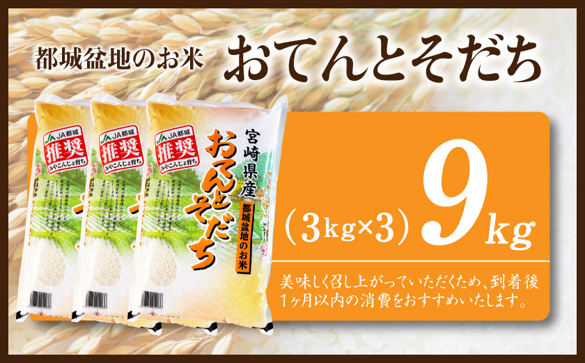 都城盆地のお米「おてんとそだち」9kg(3kg×3袋)_21-15-006-9kg