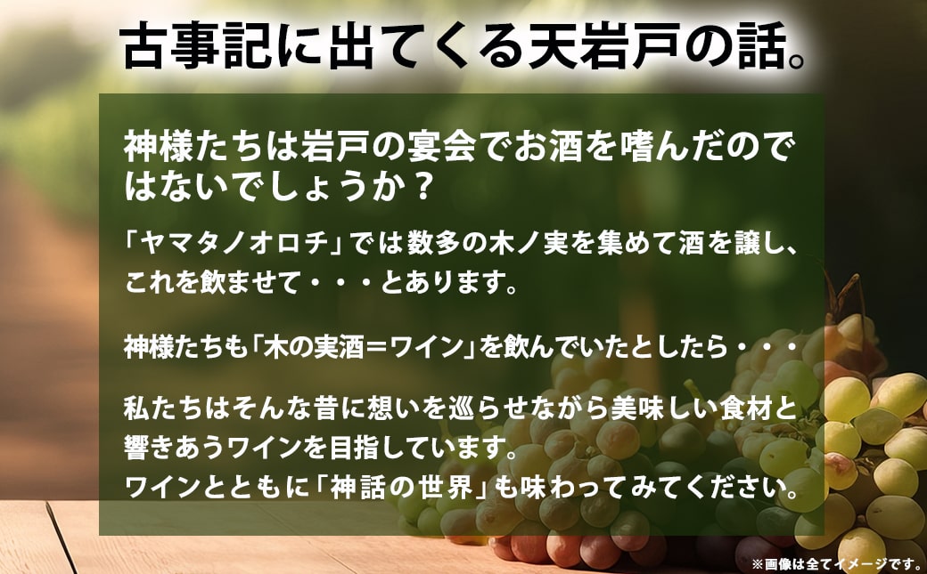 天孫降臨神話・山の神 ワイン3本セット ≪みやこんじょ特急便≫_21-2004
