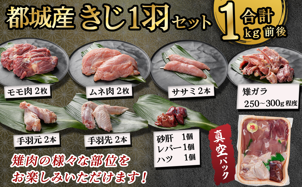 【夢屋】都城産きじ1羽セット(真空パック)_21-N101