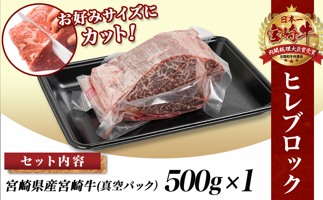 宮崎牛ヒレブロック500g_22-8905
