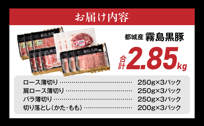 霧島黒豚バラエティセット2.85kg_23-2801