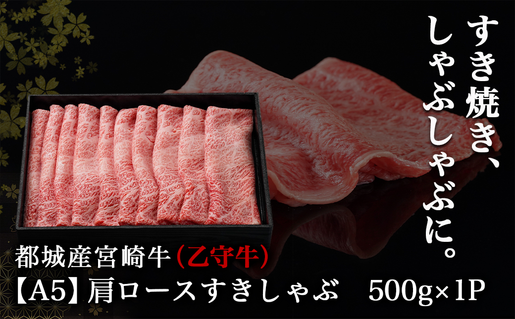 数量限定!【宮崎牛A5】肩ロースすきしゃぶ500g(乙守牛)_24-6503